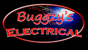 Buggzy's Electrical Review